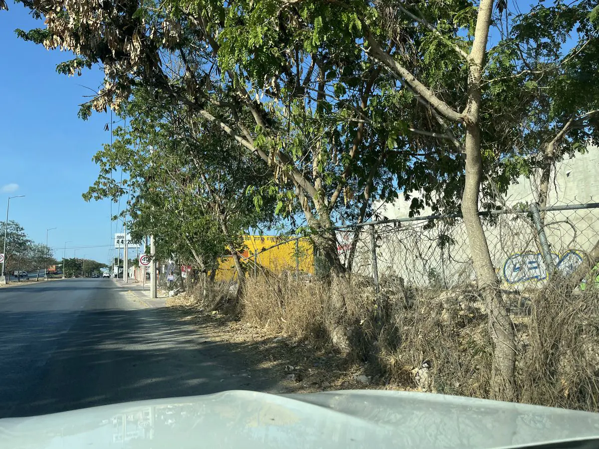 Terreno en renta en Melchor Ocampo, Mérida — foto 1 de 8