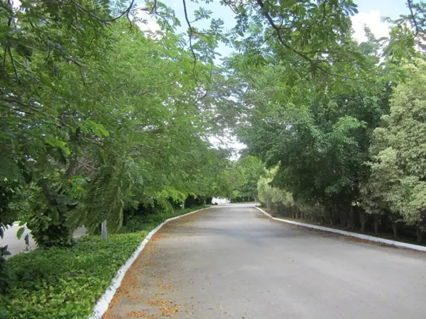 Terreno en venta en Residencial Xcanatún, Mérida — foto 3 de 6