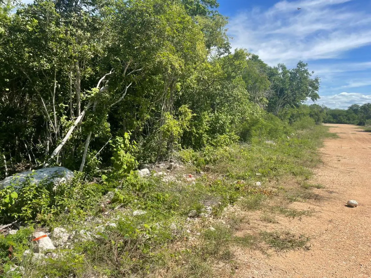 Terreno en Venta en San Ignacio Terreno en Venta en San Ignacio