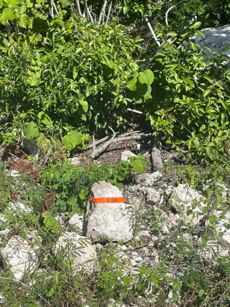 Terreno en venta en San Ignacio, Progreso — foto 2 de 5