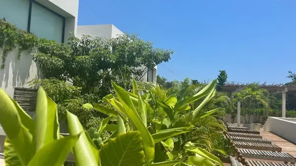 Departamento en venta en La Veleta, Tulum — foto 3 de 18