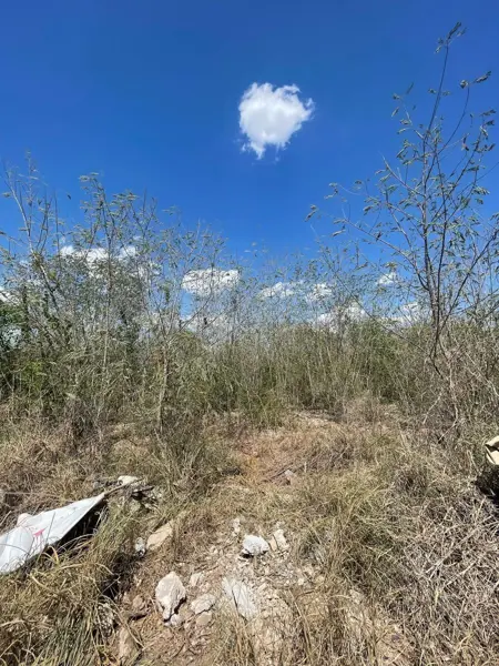 Terreno en venta en Dzitya, Mérida — foto 3 de 6