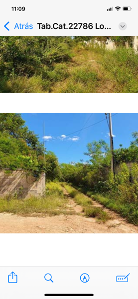 Terreno en venta en Cholul, Mérida — foto 3 de 3