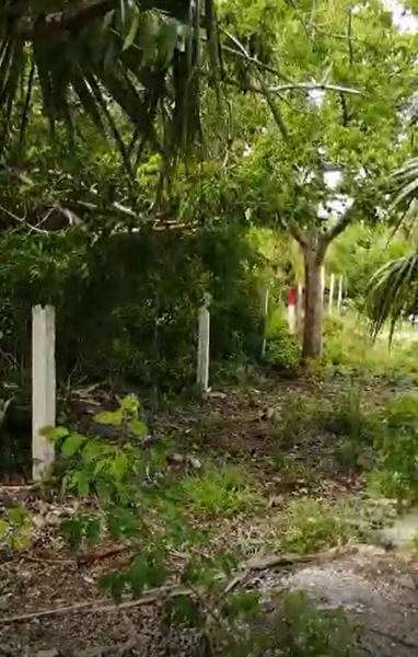 Terreno en venta en Isla de Holbox, Lázaro Cárdenas — foto 3 de 5