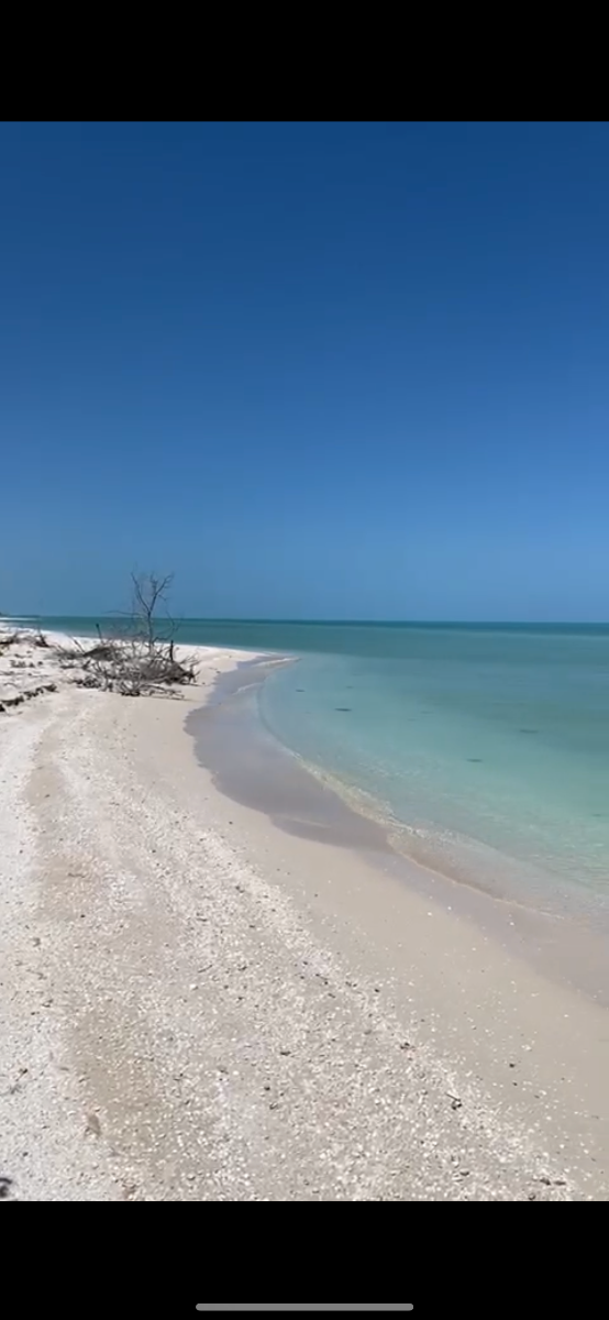 Terreno en venta en Celestun, Celestún — foto 1 de 3