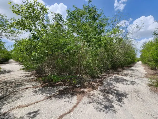Terreno en venta en Kikteil, Mérida — foto 3 de 7