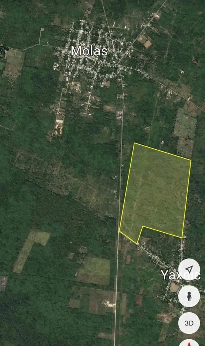 Se venden 86 hetareas en Molas, Merida, Yucatan Se venden 86 hetareas en Molas, Merida, Yucatan