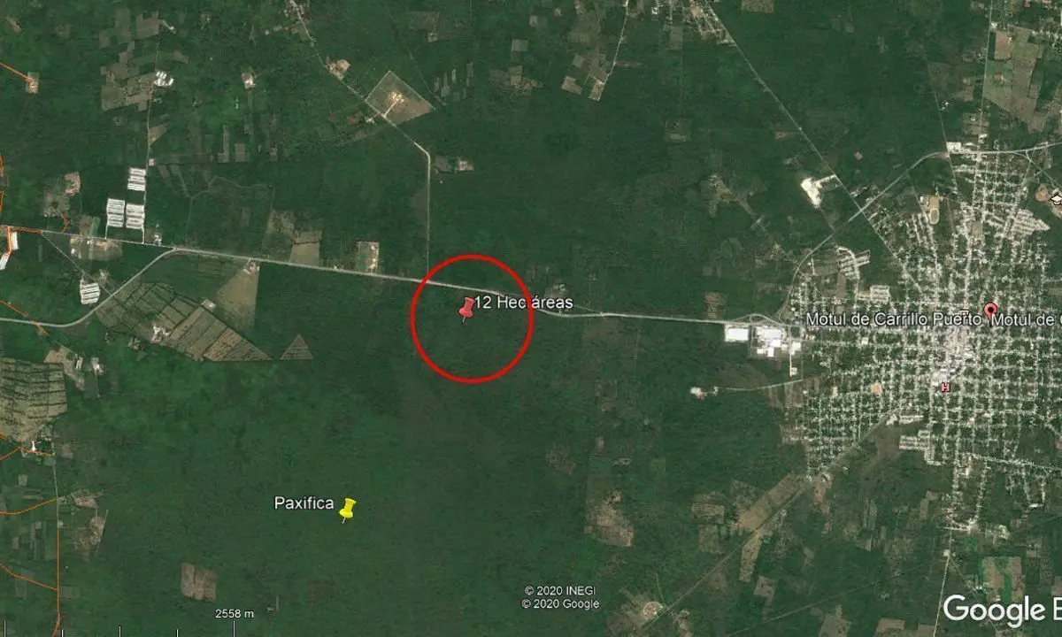 Terreno en venta en Motul de Carrillo Puerto Centro, Motul — foto 1 de 2