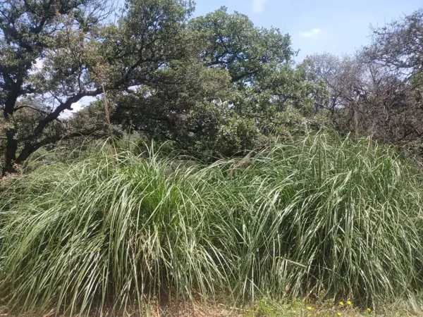 Terreno en venta en Rancho San Juan, Atizapán de Zaragoza — foto 3 de 25