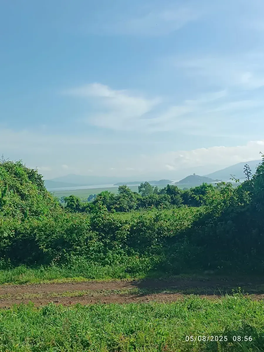 Terreno en venta en Lázaro Cárdenas (San Bartolo Pareo), Pátzcuaro — foto 1 de 11