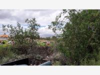 Terreno en venta en El Escobillal, Soledad de Graciano Sánchez — foto 2 de 4