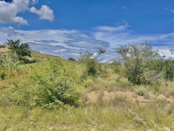 Terreno en venta en La Union, Cadereyta Jiménez — foto 3 de 4
