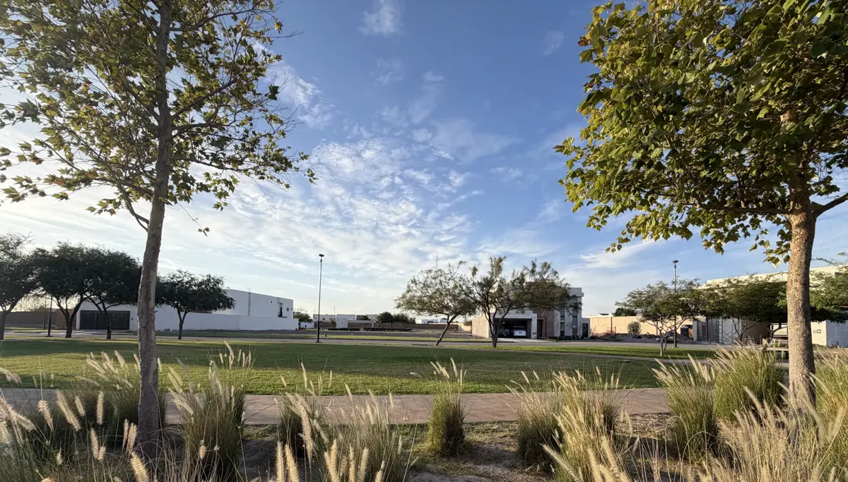 Vista 2 de Terreno en Venta en El Cardenchal, Torreón, Coahuila de Zaragoza