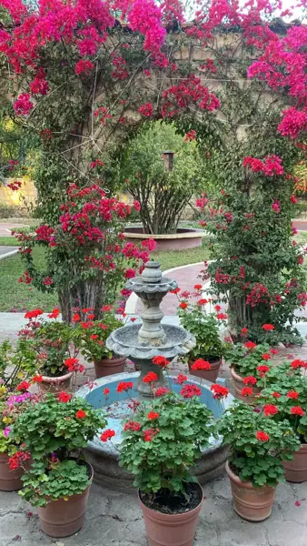 Casa en venta en Las Cabañas, Saltillo — foto 3 de 12