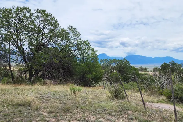 Terreno en venta en Los Llanos, Arteaga — foto 3 de 16