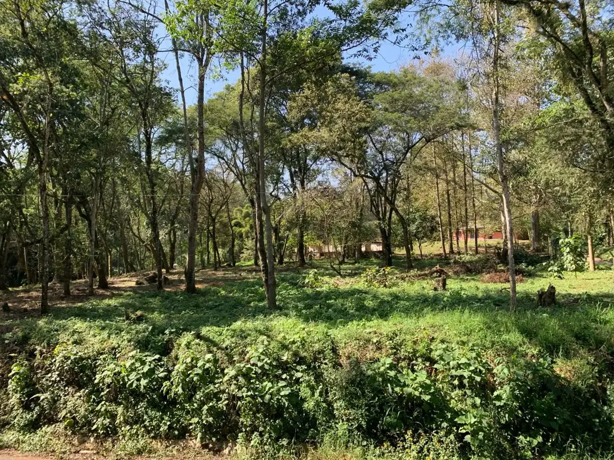 Terreno en venta en Ejidal (Ejido San Andrés), Tlalnelhuayocan — foto 1 de 11