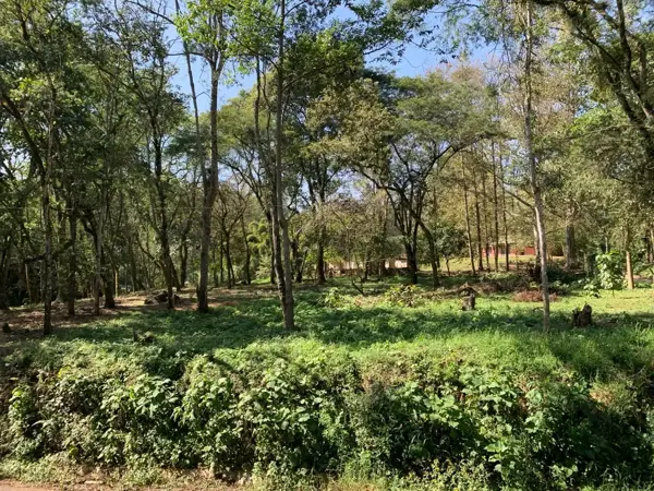 Terreno en San Andrés Tlalnelhuayocan