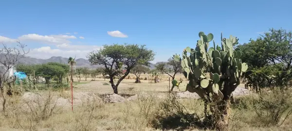 Finca-Rancho en venta en Tapias Viejas, Jesús María — foto 3 de 7