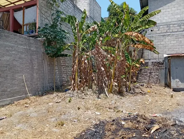 Terreno en venta en La Huizachera, Jiutepec — foto 3 de 12