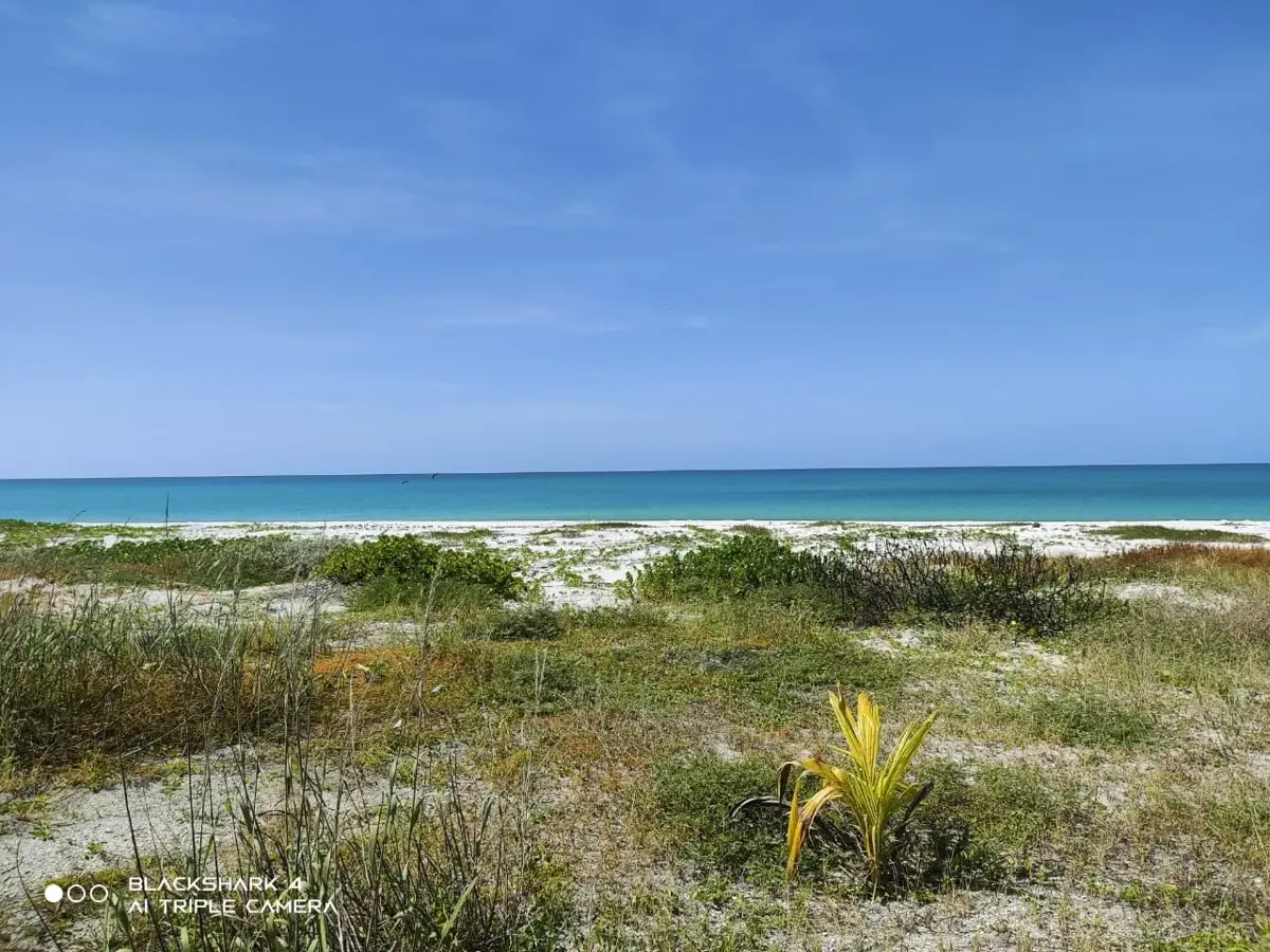 Terreno en venta en Isla Aguada Centro, Carmen — foto 1 de 12