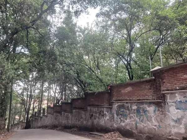 Terreno en renta en San Miguel Tecpan, Jilotzingo — foto 2 de 23