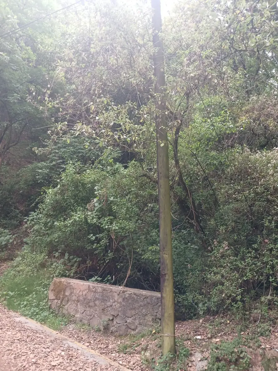 Terreno en renta en San Miguel Tecpan, Jilotzingo — foto 1 de 23