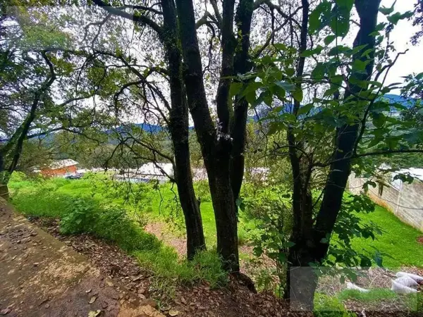 Terreno en renta en Santa Ana Jilotzingo, Jilotzingo — foto 2 de 4