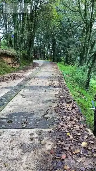 Terreno en renta en Santa Ana Jilotzingo, Jilotzingo — foto 3 de 4