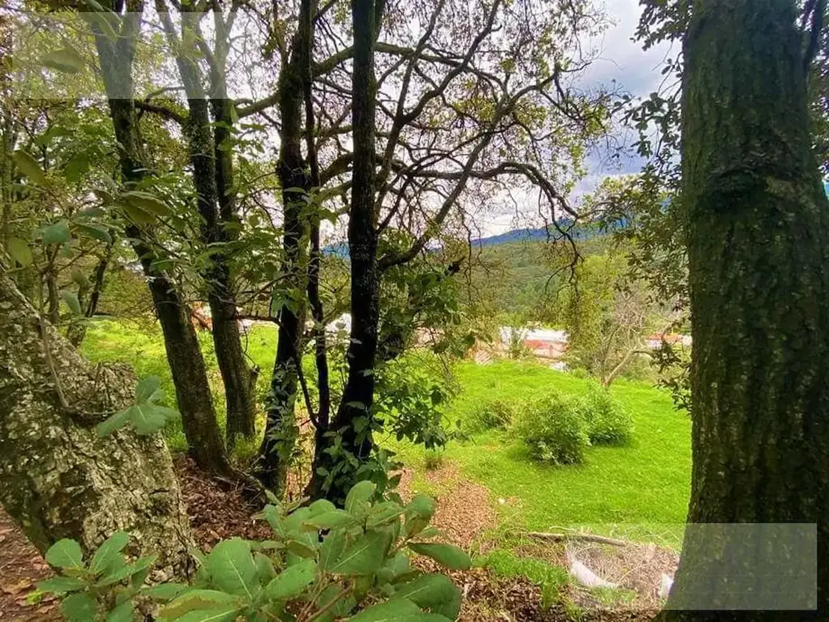 Terreno en renta en Santa Ana Jilotzingo, Jilotzingo — foto 1 de 4