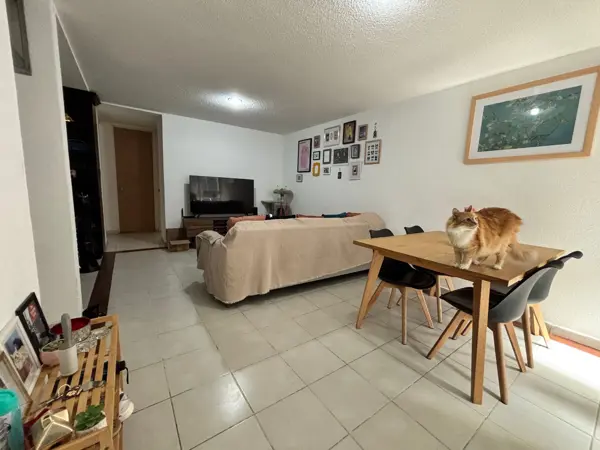 Departamento en Venta en Anáhuac I Sección, Miguel Hidalgo, con Rooftop y Seguridad Total