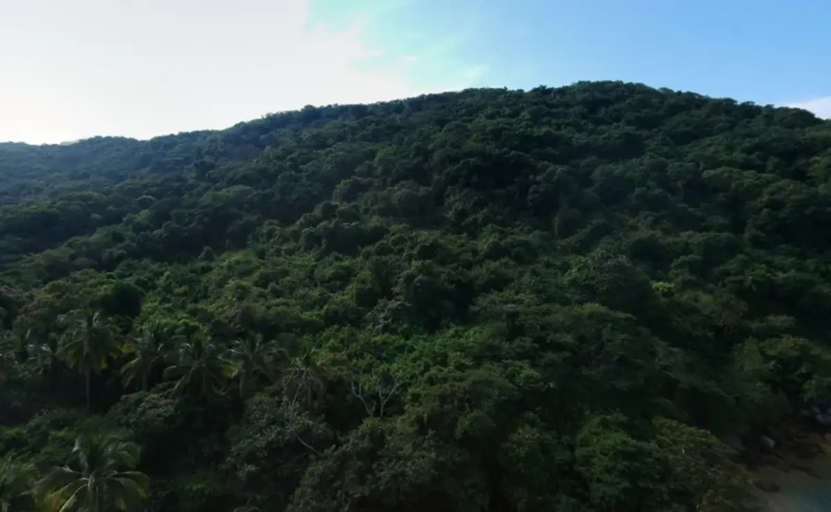 Terreno en venta en Playa Diamante, Acapulco de Juárez — foto 1 de 7