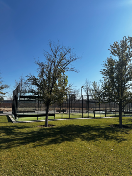 Terreno en venta en Punta Bosque, Saltillo — foto 3 de 5