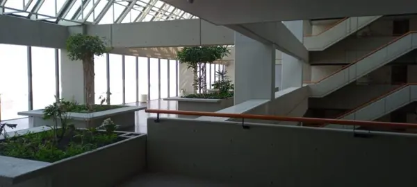 Oficina en renta en Parque del Pedregal, Tlalpan — foto 3 de 10