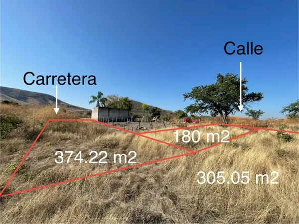 Terreno en venta en Atlacholoaya, Xochitepec — foto 3 de 5