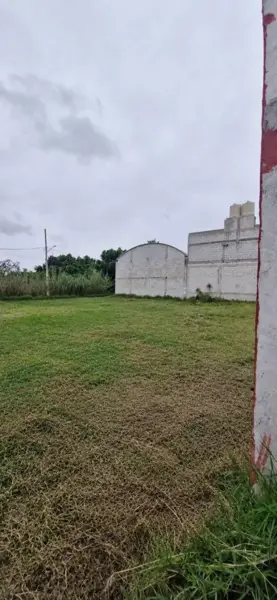 Terreno Tres Cerritos
