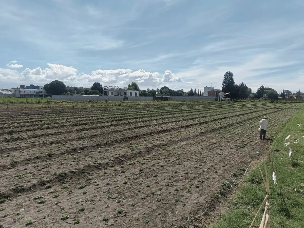 Terreno en venta en Santa María Tonantzintla, San Andrés Cholula — foto 1 de 7