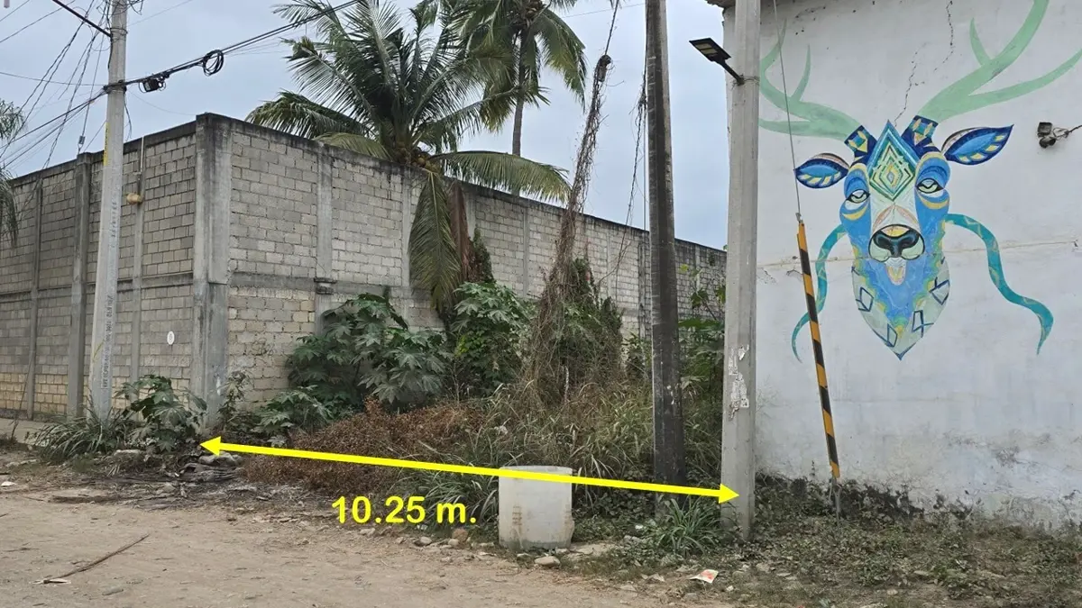 Terreno en venta en Mezcales, Bahía de Banderas — foto 1 de 7