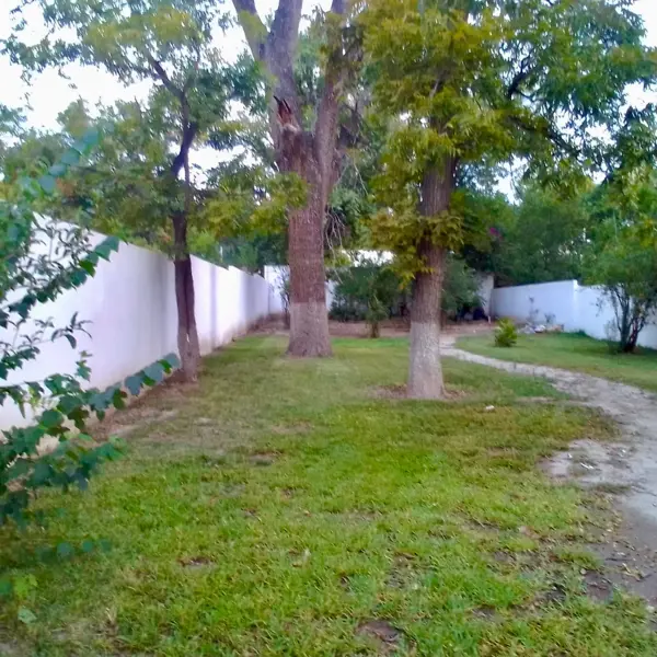 Terreno en venta en Parras de la Fuente Centro, Parras — foto 3 de 4