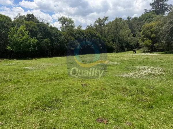 Terreno en venta en Amaxac de Guerrero, Amaxac de Guerrero — foto 3 de 26