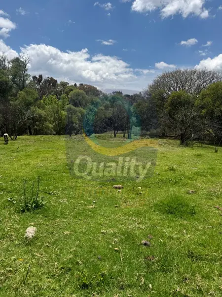 Terreno en venta en Amaxac de Guerrero, Amaxac de Guerrero — foto 2 de 26