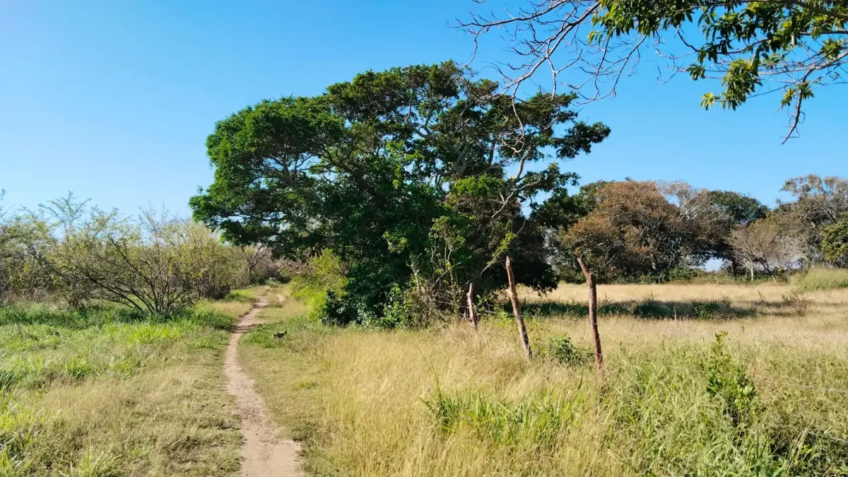 Terreno en venta en La Laguna y Monte del Castillo, Medellín de Bravo — foto 1 de 4