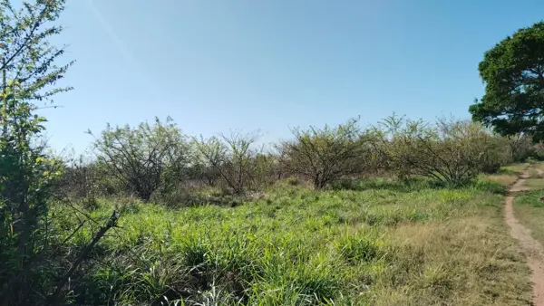 Terreno en venta en La Laguna y Monte del Castillo, Medellín de Bravo — foto 2 de 4