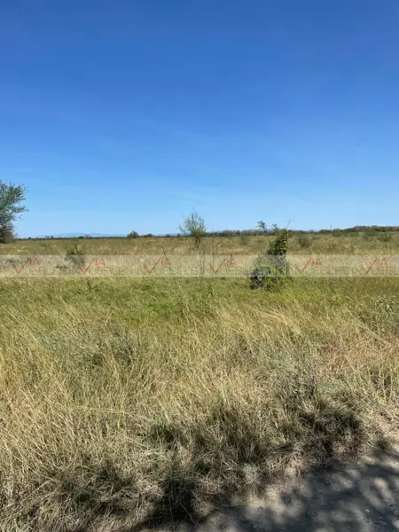 Terreno en venta en Soledad Herrera, Cadereyta Jiménez — foto 3 de 18