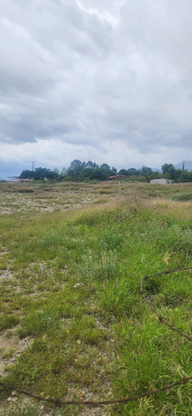 Terreno en renta en Lomas de Guadalupe, Saltillo — foto 3 de 7