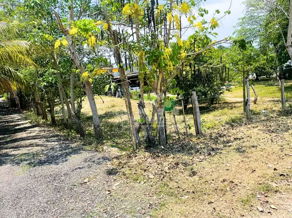 Terreno en venta en Medellin y Pigua 3ra. Sección, Centro — foto 3 de 7