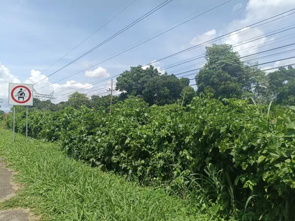 Terreno en venta en 1ra. Sección de Medio Monte, Tuxtla Chico — foto 3 de 8