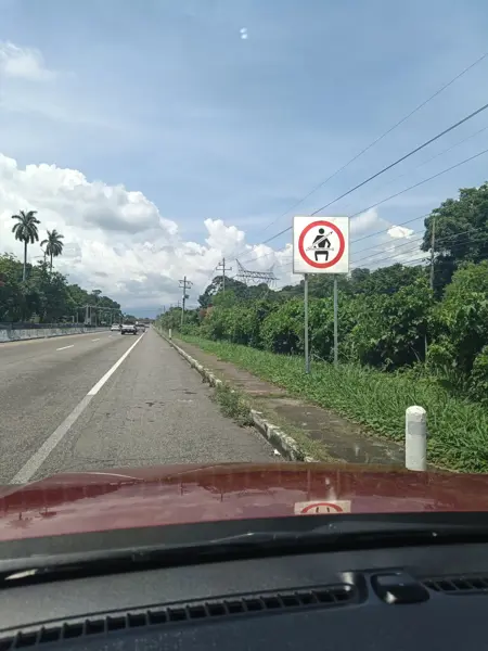 Terreno en venta en 1ra. Sección de Medio Monte, Tuxtla Chico — foto 2 de 8