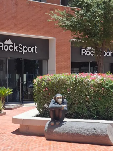 Oficina en renta en Villas del Renacimiento, Torreón — foto 3 de 22