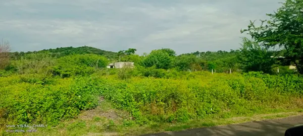 Terreno en venta en El Salitre, Ayala — foto 2 de 6