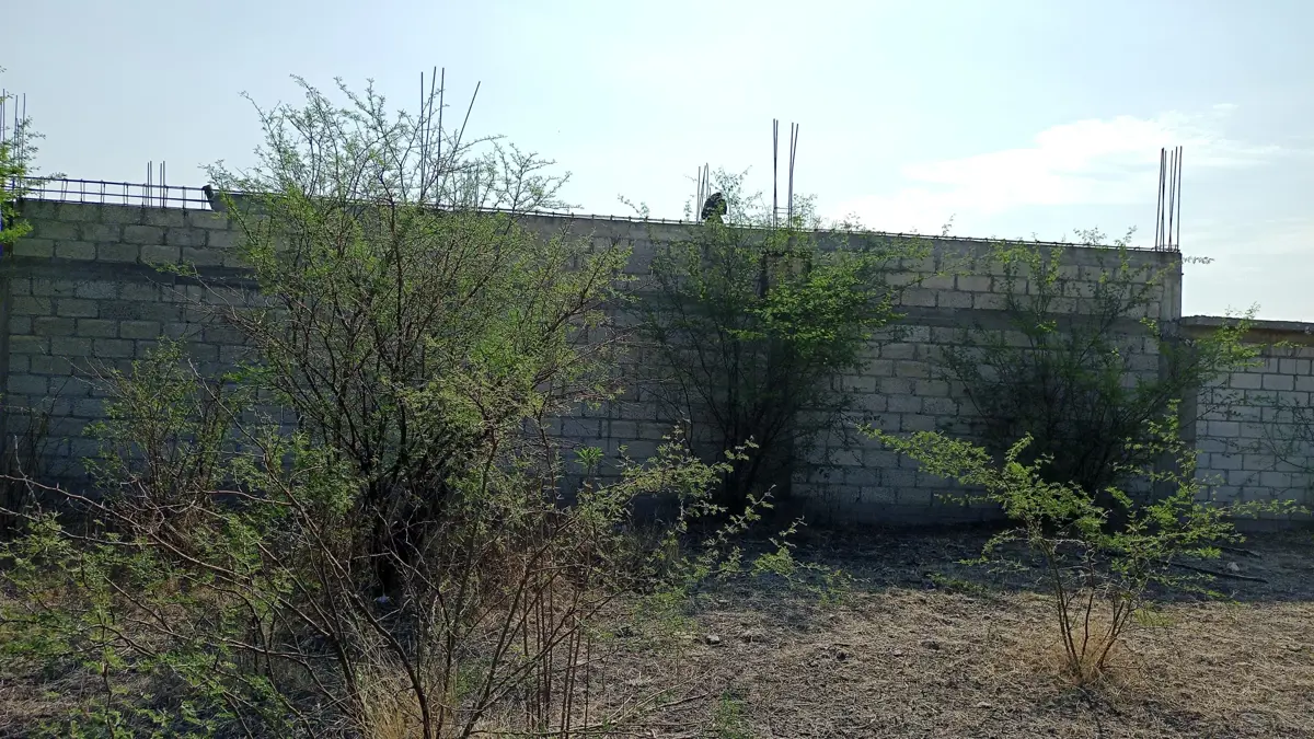 Terreno en venta en El Salitre, Ayala — foto 1 de 6